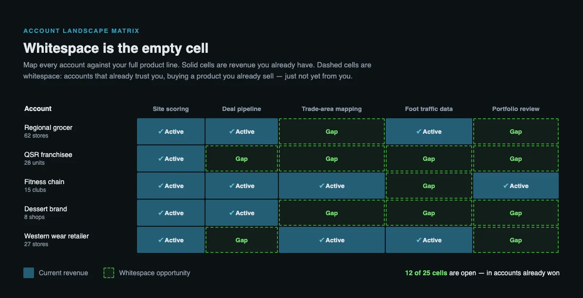 Account landscape matrix mapping five retail accounts against five product lines, where solid cells mark current revenue and dashed cells mark open whitespace — in this example, 12 of 25 cells sit open inside accounts already won
